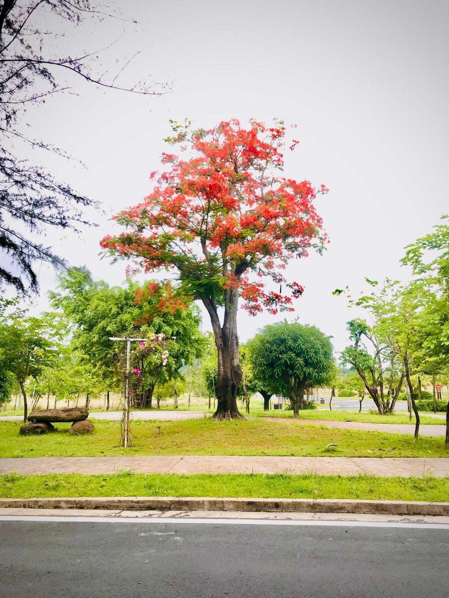 Kalia Hotel Phu Quoc Luaran gambar