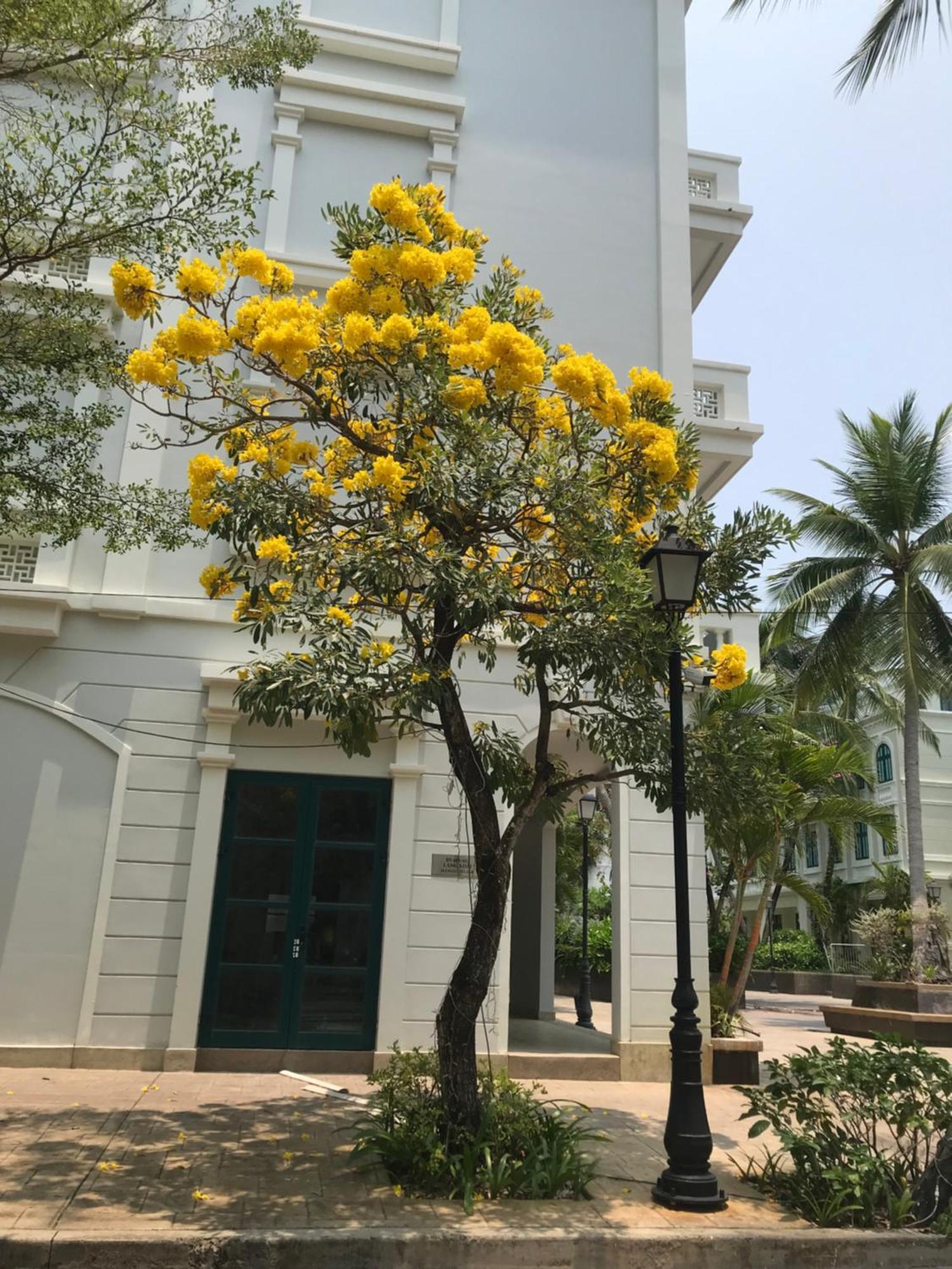 Kalia Hotel Phu Quoc Luaran gambar